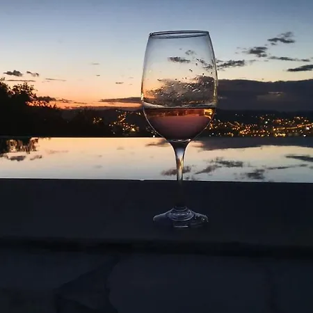 Wineyard - Vinograd *