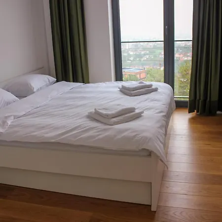 Wineyard - Vinograd *