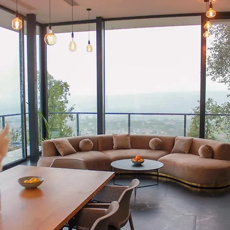 Wineyard - Vinograd *