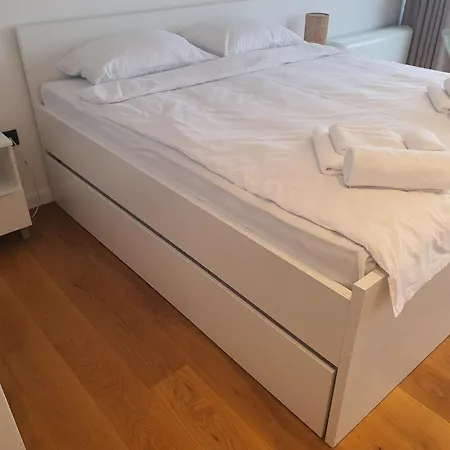 Wineyard - Vinograd *